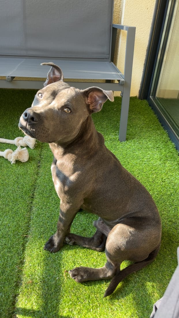 WhatsApp Image 2026-02zvtv-20 at 09.43.35.jpeg